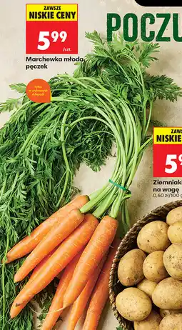 Biedronka Marchewka młoda oferta