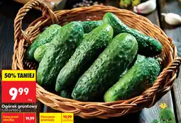 Biedronka Ogórek gruntowy oferta