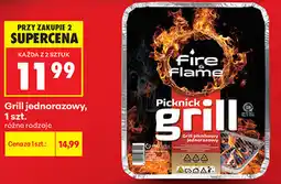 Biedronka Grill jednorazowy oferta