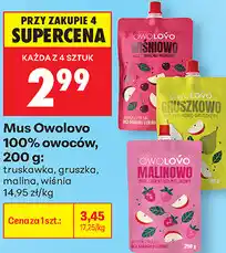 Biedronka Mus Owolovo 100% owoców oferta