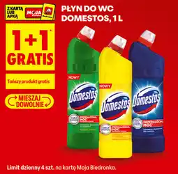Biedronka Płyn do WC Domestos oferta