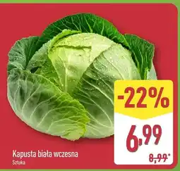 ALDI Kapusta biała wczesna oferta