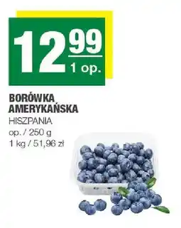 Spar Borówka amerykańska Hiszpania oferta