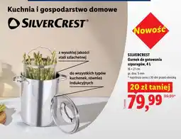 Lidl Garnek do gotowania szparagów oferta