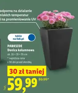 Lidl Donica kolumnowa oferta