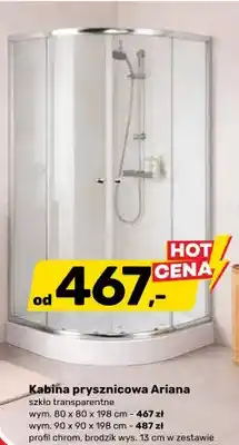 Bricomarche Kabina prysznicowa Ariana oferta