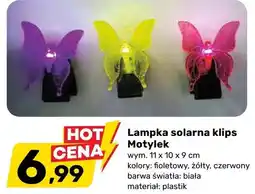 Bricomarche Lampka solarna klips Motylek oferta