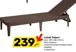 Bricomarche Leżak Jaipur oferta