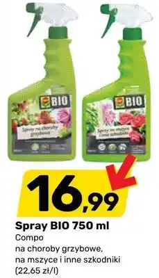 Bricomarche Spray na choroby grzybowe oferta