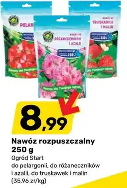 Bricomarche Nawóz rozpuszczalny do pelargonii, do różaneczników i azalii, do truskawek i malin oferta