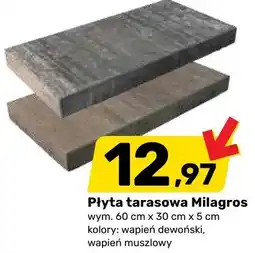 Bricomarche Płyta tarasowa oferta
