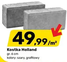 Bricomarche Kostka Holland gr. 6 cm oferta