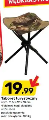 Bricomarche Taboret turystyczny oferta