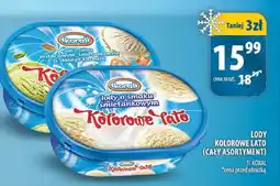 Arhelan Lody kolorowe lato (cały asortyment) oferta