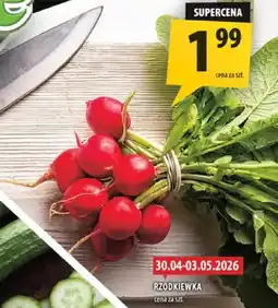 Arhelan Rzodkiewka oferta