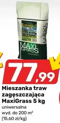 Bricomarche Mieszanka traw zagęszczająca uniwersalna oferta