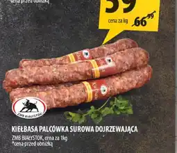 Arhelan Kiełbasa palcówka surowa dojrzewająca oferta