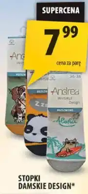 Arhelan Stopki damskie Design oferta