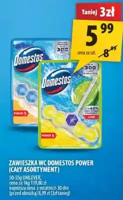 Arhelan Zawieszka WC Domestos Power oferta