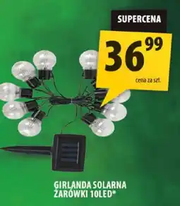 Arhelan Girlanda solarna żarówki Toledo oferta