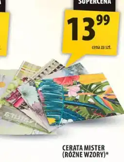 Arhelan Cerata Mister różne wzory oferta