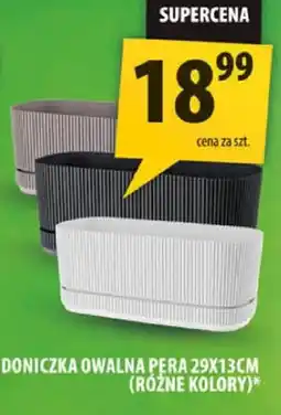 Arhelan Doniczka owalna pera 29X13CM różne kolory oferta