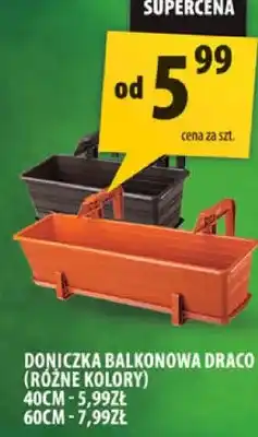 Arhelan Doniczka balkonowa draco różne kolory 40cm oferta