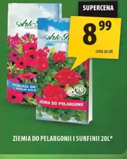Arhelan Ziemia do pelargonii i surfinii oferta