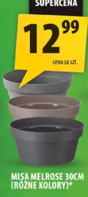 Arhelan Misa melrose 30cm różne kolory oferta