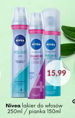 Astor Nivea lakier do włosów oferta