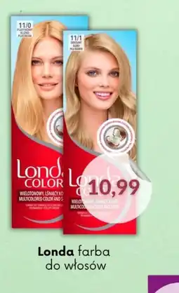 Astor Londa farba do włosów oferta