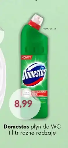 Astor Domestos płyn do WC oferta