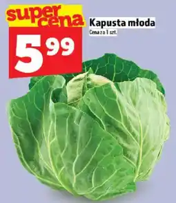 Topaz Kapusta młoda oferta