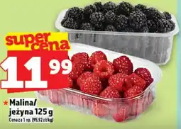 Topaz Malina/jeżyna oferta