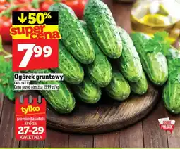 Topaz Ogórek gruntowy oferta