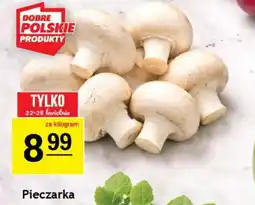 Gram Market Pieczarka oferta