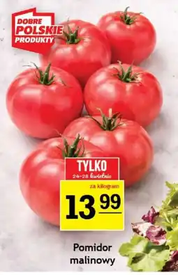 Gram Market Pomidor malinowy oferta