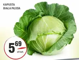Sedal Kapusta biała młoda oferta