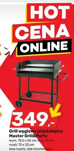 Bricomarche Grill węglowy prostokątny Master Grill&Party oferta