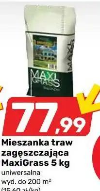 Bricomarche Mieszanka traw zagęszczająca MaxiGrass oferta