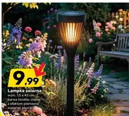 Bricomarche Lampka solarna wym . 7,5 x 43 cm barwa światła : ciepła z efektem płomienia materiał : plastik oferta