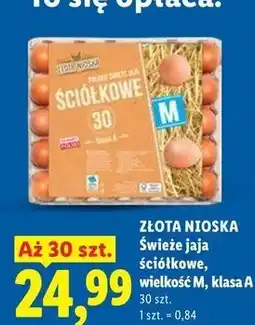 Lidl Jaja kl. m Złota Nioska oferta