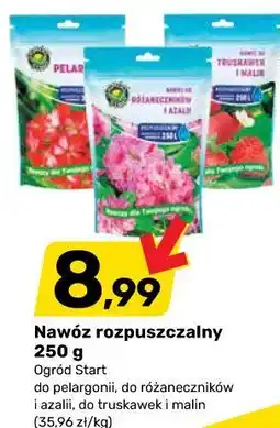 Bricomarche Nawóz rozpuszczalny 250 g Ogród Start oferta