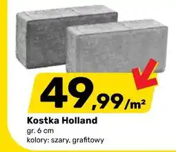 Bricomarche Kostka Holland oferta