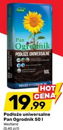 Bricomarche Podłoże uniwersalne Pan Ogrodnik 50 l Westland oferta
