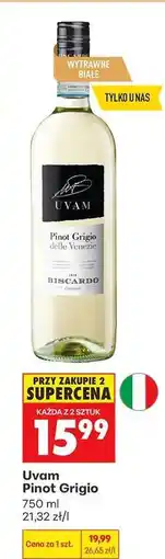 Biedronka UVAM PINOT GRIGIO oferta