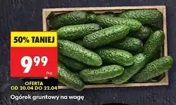 Biedronka Ogórek gruntowy na wage oferta