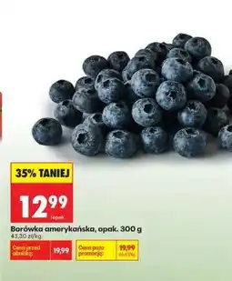 Biedronka Borówka amerykańska opak 300 g oferta
