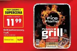 Biedronka Grill jednorazowy 1 szt oferta