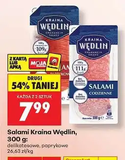 Biedronka Salami Kraina Wędlin 300 g oferta